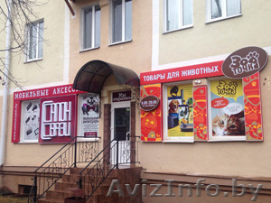 Открылся магазин товаров для животных «Зоо точка» ( ул. Толстого, 10) - Изображение #1, Объявление #1234291