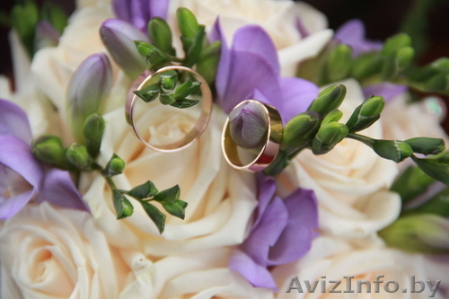 МУЗЫКАЛЬНЫЕ УСЛУГИ. ФОТО- ВИДЕО.  Световое шоу - Изображение #1, Объявление #382735