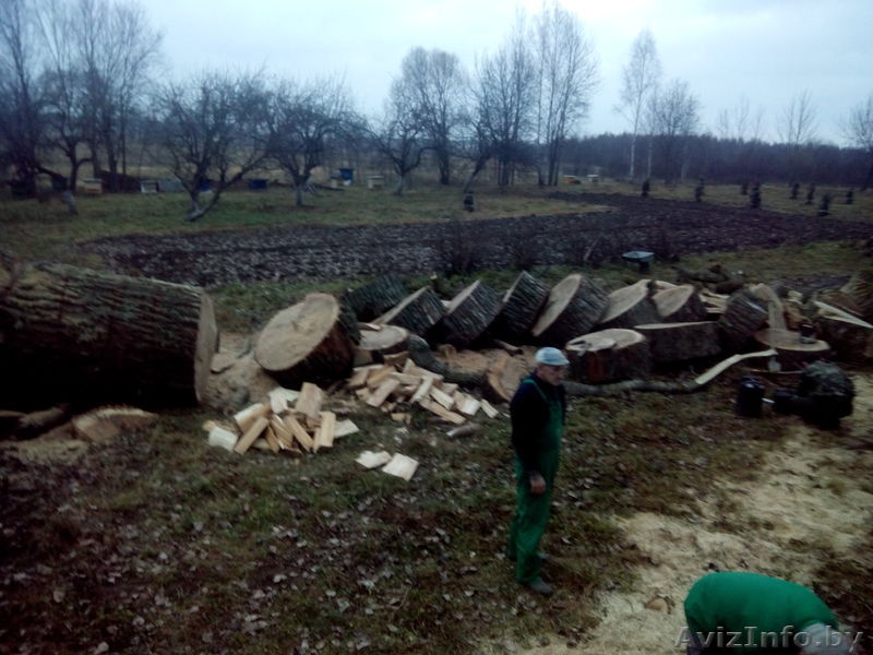 Колка дров. Поколоть дрова на дому. Быстро и надежно. - Изображение #1, Объявление #1603534