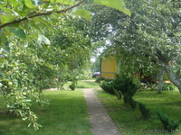                              Продам дачу  - Изображение #4, Объявление #63448