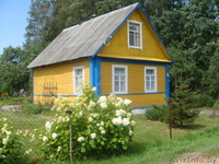                              Продам дачу  - Изображение #1, Объявление #63448