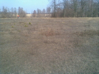 деревня Ляховщина,Нарочанский с.с.Вилейский район - Изображение #2, Объявление #180731