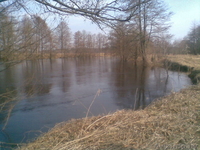 деревня Ляховщина,Нарочанский с.с.Вилейский район - Изображение #4, Объявление #180731