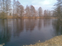 деревня Ляховщина,Нарочанский с.с.Вилейский район - Изображение #6, Объявление #180731