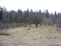 Дача на хуторе в лесной зоне - Изображение #3, Объявление #224161