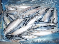 Свежемороженную рыбу - Изображение #1, Объявление #734909