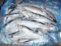 Свежемороженную рыбу - Изображение #2, Объявление #734909