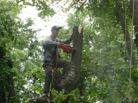 Сварочные работы на высоте с подготовкой поверхности под покраску. - Изображение #2, Объявление #998478