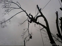 Сварочные работы на высоте с подготовкой поверхности под покраску. - Изображение #6, Объявление #998478