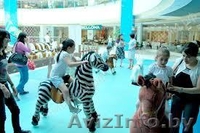 Верховая езда на понициклах - Изображение #4, Объявление #997436