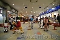 Верховая езда на понициклах - Изображение #1, Объявление #997436