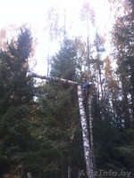 Спилить безопасно аварийное дерево, больших по диаметру и высоте. - Изображение #6, Объявление #1004171