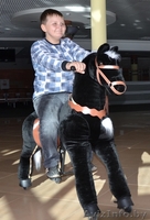  НА ПОНИЦИКЛАХ ВЕРХОМ - Изображение #4, Объявление #1058496