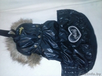 Продам костюм для собаки я не ношаная  - Изображение #1, Объявление #1151402