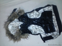 Продам костюм для собаки я не ношаная  - Изображение #2, Объявление #1151402