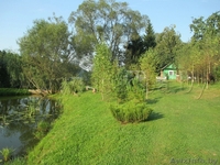 Усадьба Мечта.Сдаю. - Изображение #2, Объявление #1091272