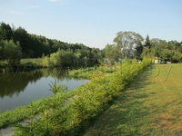 Усадьба Мечта.Сдаю. - Изображение #5, Объявление #1091272