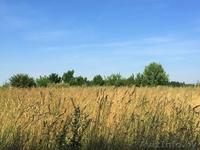 Продам дом с земельным участком - Изображение #7, Объявление #1301615