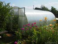 Теплица Усиленная из трубы. Бесплатная доставка - Изображение #2, Объявление #1399867