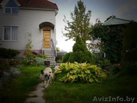 Продаю котедж в Молодечно, район Фестивальный - Изображение #5, Объявление #1395953