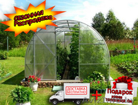 Теплица Усиленная из трубы. Бесплатная доставка - Изображение #1, Объявление #1399867