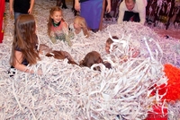 Бумажная вечеринка на любой праздник. Вилейка. - Изображение #2, Объявление #1535969