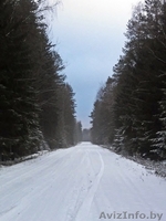 Продам дом недорого (участок 25 соток) - Изображение #6, Объявление #1550174