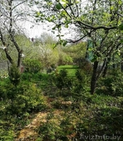 Продаётся уютный дом в Молодечно - Изображение #8, Объявление #1628408