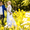 Видео фотосъёмка свадеб,торжеств и юбилеев, недорого. - Изображение #7, Объявление #1334221