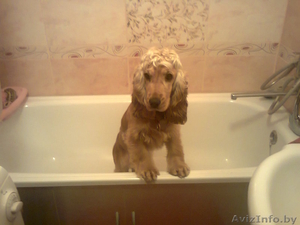 100% эмалировка ванн на дому.Наливная ванна