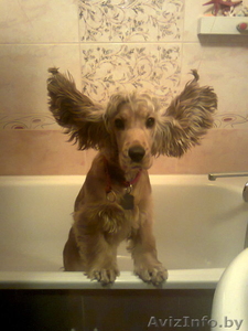 реставрация ванн !Наливная ванна!.Цвет в подарок . ВЕРНИТЕ