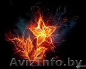 Оклеим всеми типами обоев Ваше жилье.