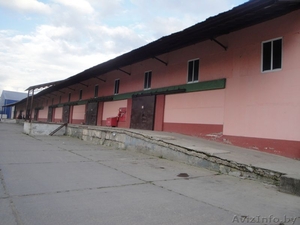 Аренда склада-магазина в г. Барановичи