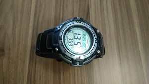CASIO SGW100-1V