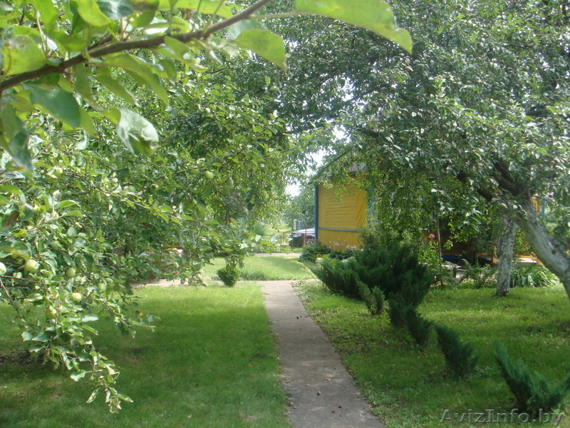                              Продам дачу  - Изображение #4, Объявление #63448