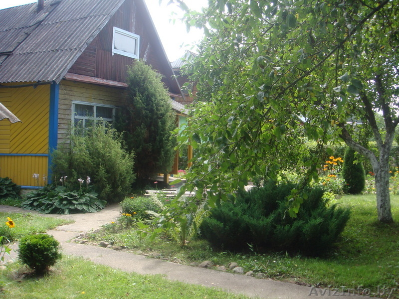                              Продам дачу  - Изображение #3, Объявление #63448