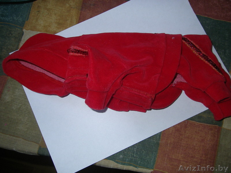 Одежда для собачек размер S - Изображение #1, Объявление #150393