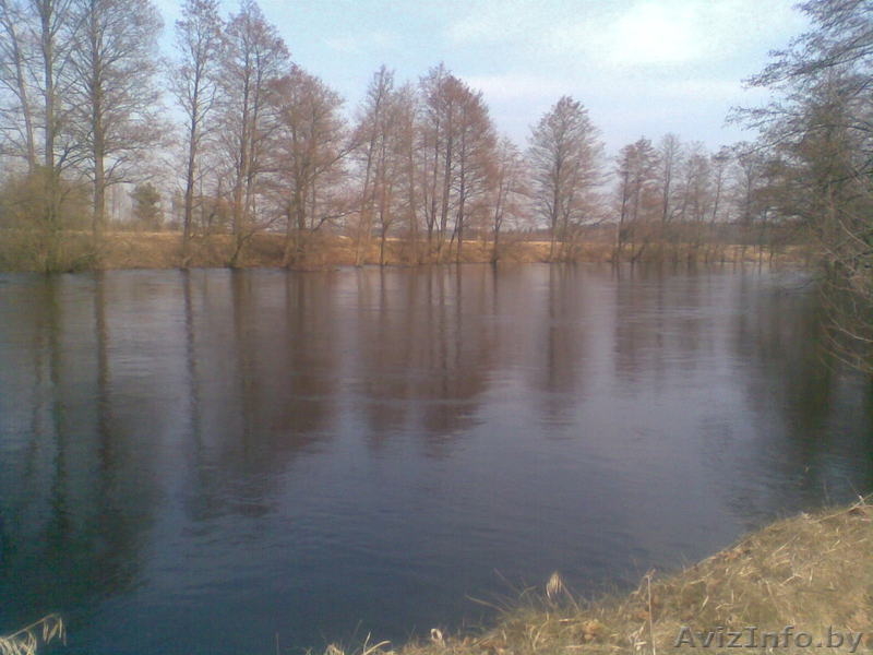 деревня Ляховщина,Нарочанский с.с.Вилейский район - Изображение #6, Объявление #180731