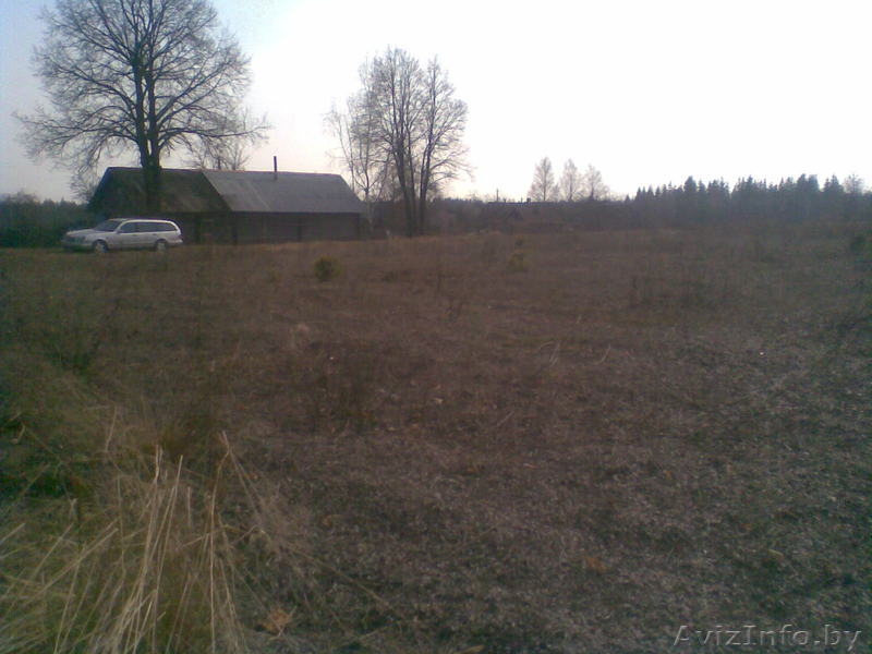 деревня Ляховщина,Нарочанский с.с.Вилейский район - Изображение #8, Объявление #180731