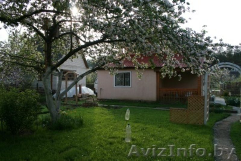 Дача вблизи слияния рек Уша и Вилия - Изображение #3, Объявление #172268