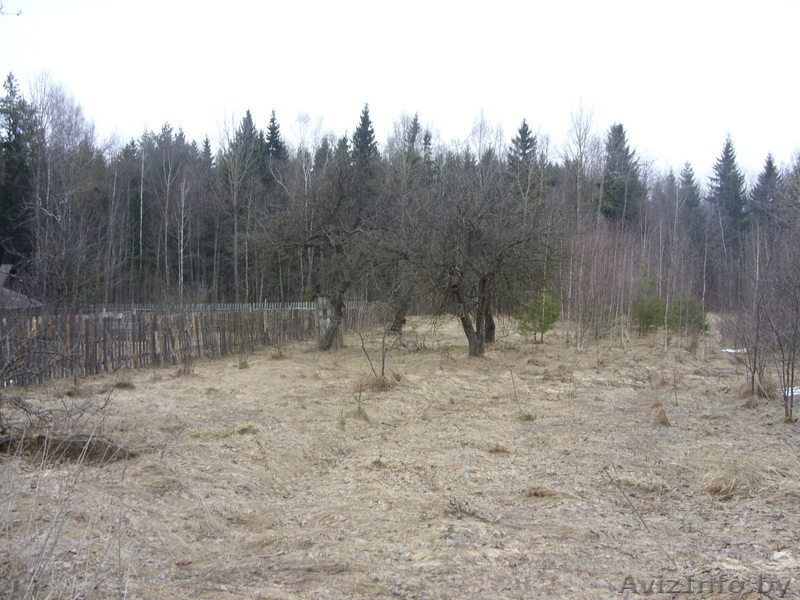 Дача на хуторе в лесной зоне - Изображение #3, Объявление #224161