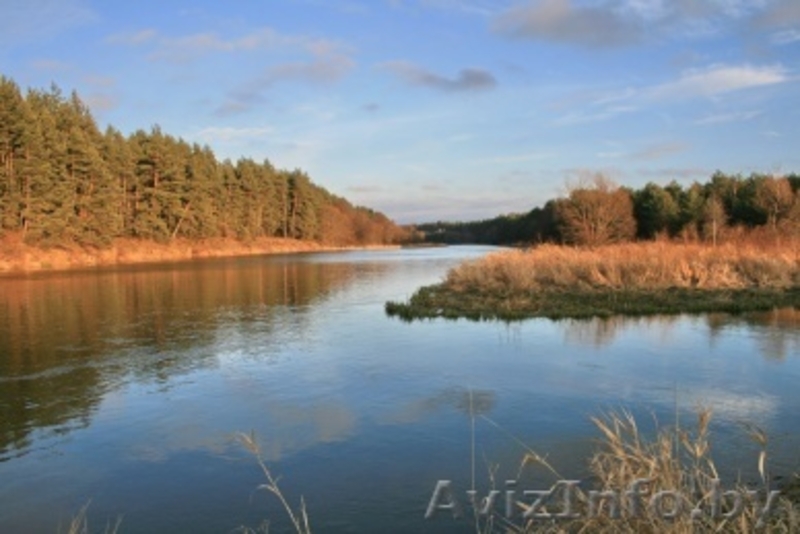 Дача вблизи слияния рек Уша и Вилия - Изображение #9, Объявление #172268
