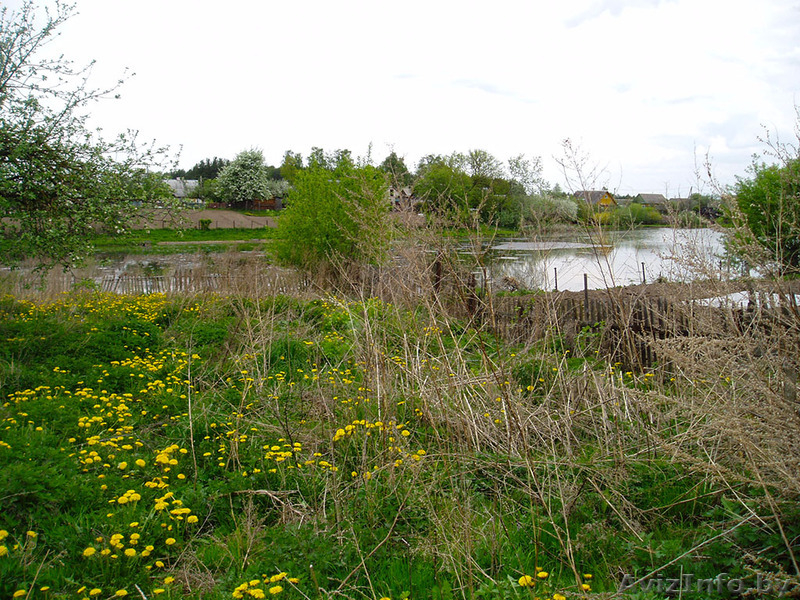 Продажа дома в д. Засковичи, 25 км от Молодечно, газ, водопровод, телефон. Торг. - Изображение #4, Объявление #277032