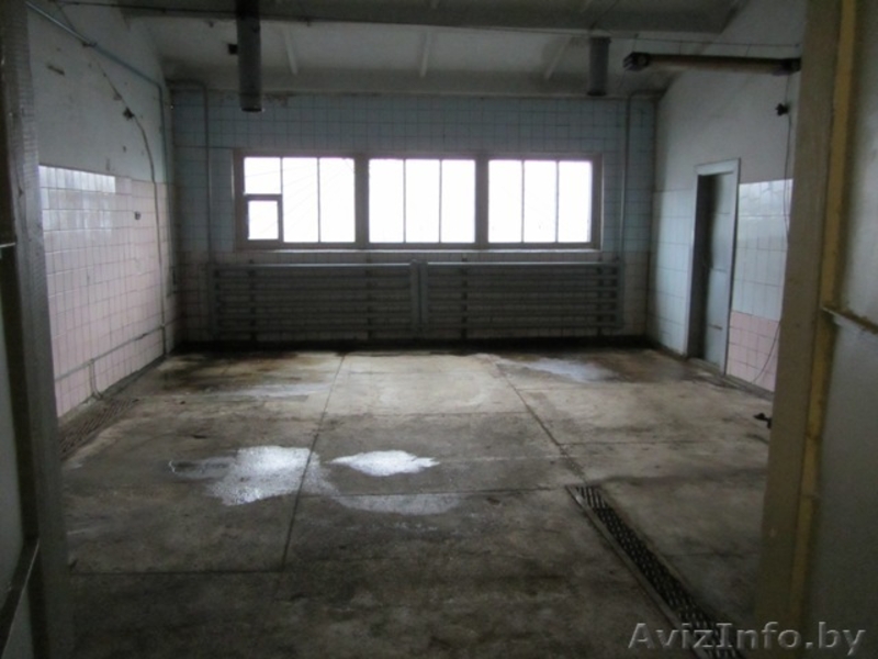 Продается помещение под пищевое производство - Изображение #5, Объявление #547087