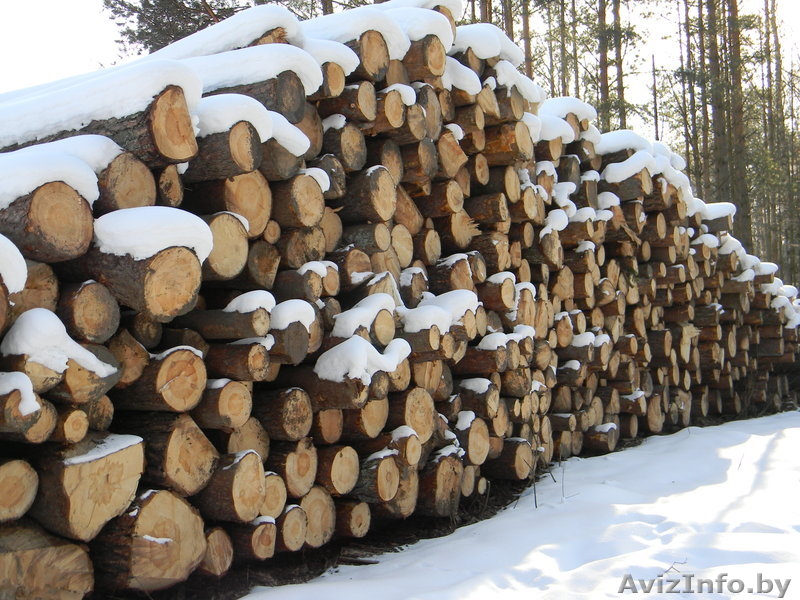 ОДО "Оптлес". Пиломатериалы. - Изображение #1, Объявление #832207