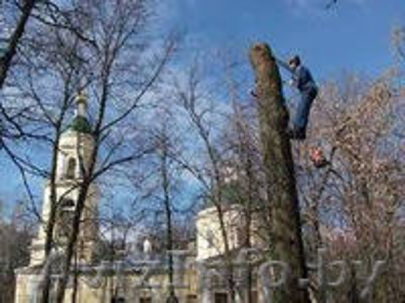 Сварочные работы на высоте с подготовкой поверхности под покраску. - Изображение #3, Объявление #998478