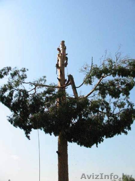 Сварочные работы на высоте с подготовкой поверхности под покраску. - Изображение #5, Объявление #998478