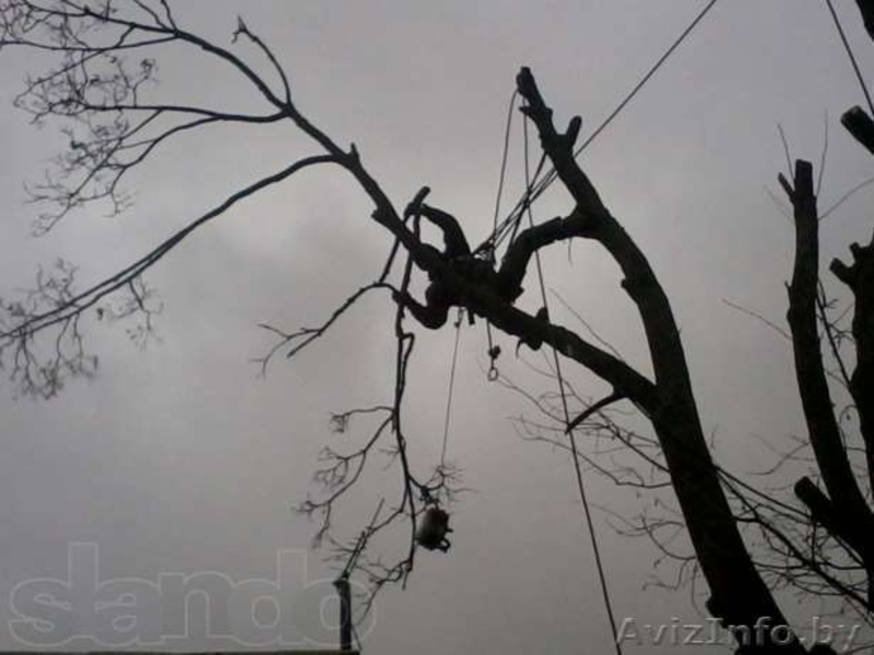 Сварочные работы на высоте с подготовкой поверхности под покраску. - Изображение #6, Объявление #998478