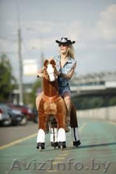 Верховая езда на понициклах - Изображение #3, Объявление #997436