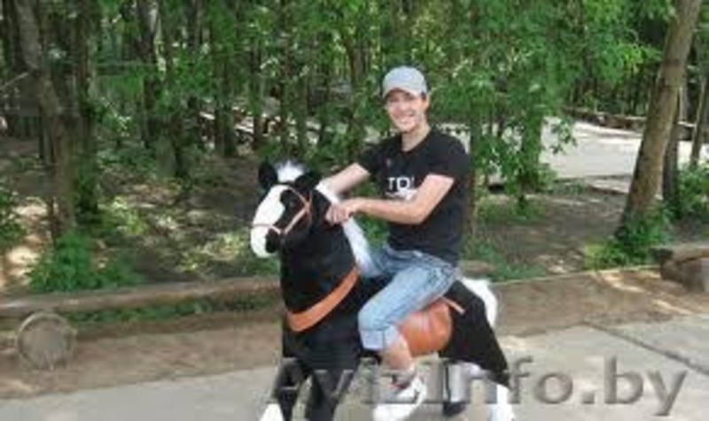 Верховая езда на понициклах - Изображение #2, Объявление #997436